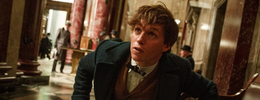 fantastic-beasts-and-where-to-find-them-eddie-redmayne1