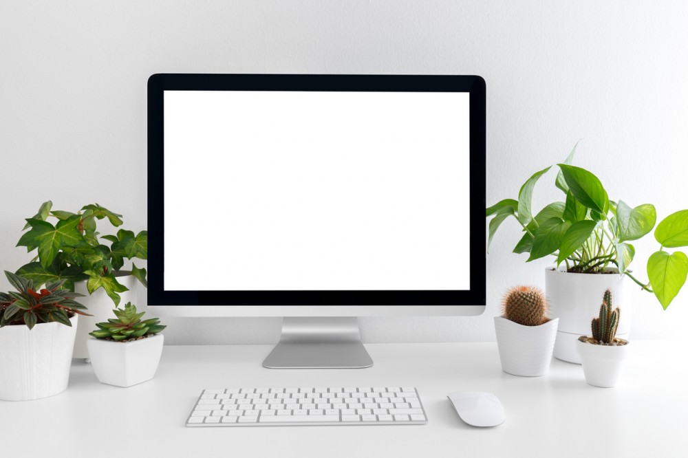 White modern desktop with computer and plants. Minimalistic workplace of student or freelancer, mock up